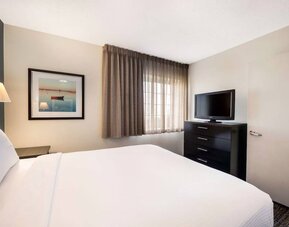 Double bed guest room in Sonesta Simply Suites Dallas Las Colinas, featuring a window and widescreen TV.