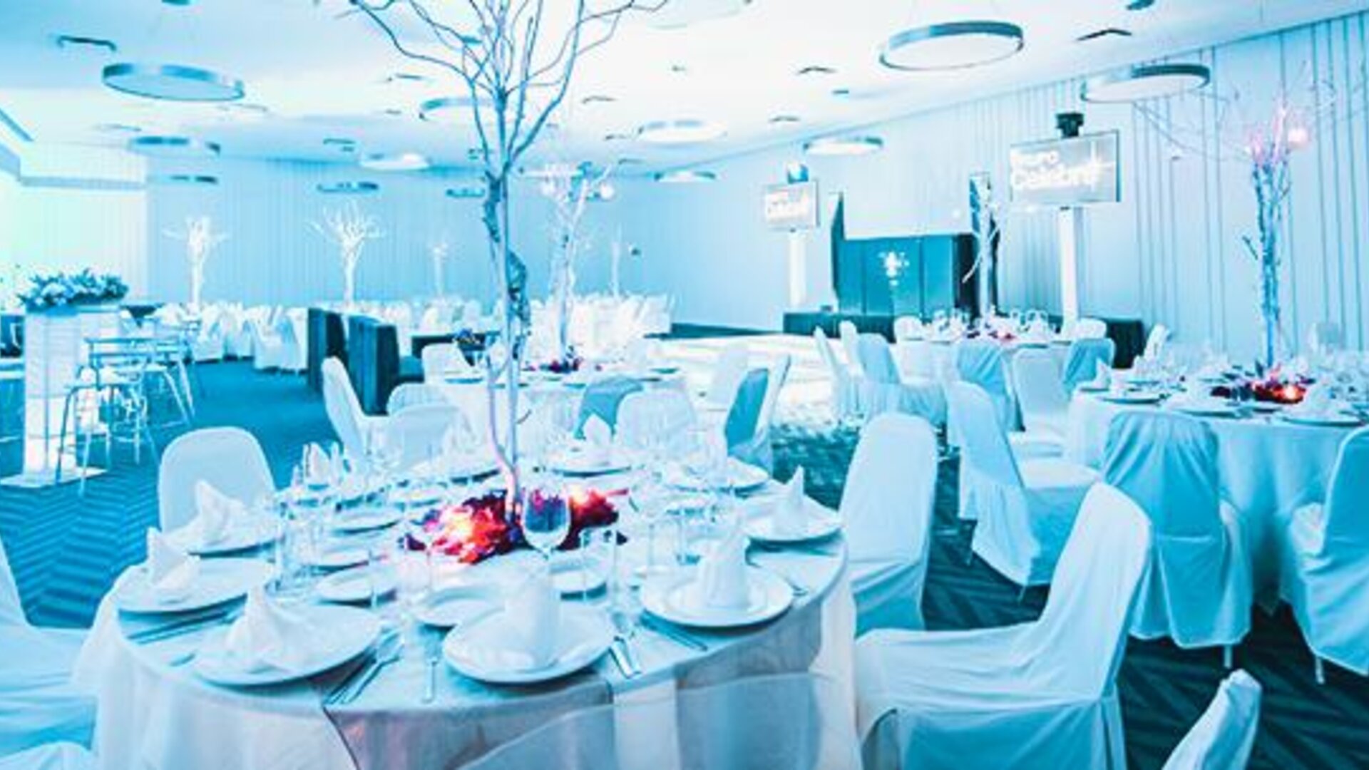 Hotel El Ejecutivo By Reforma