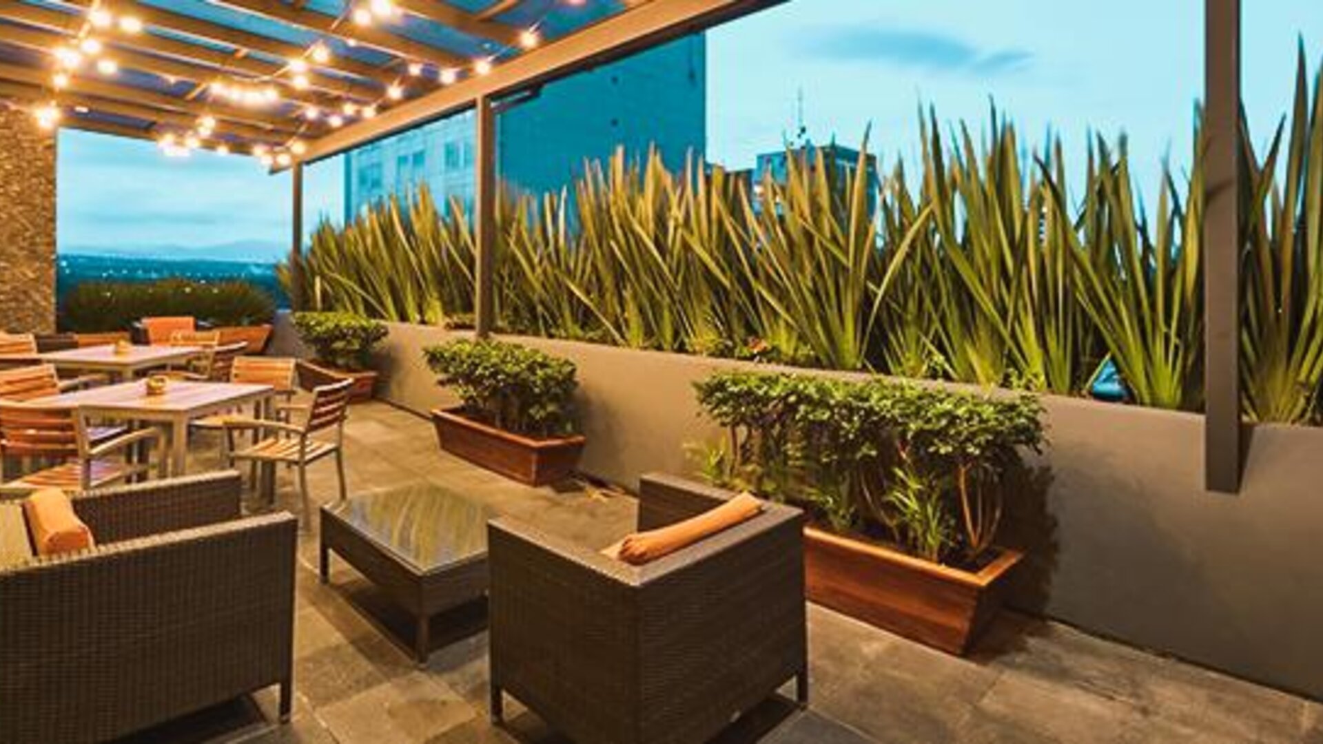 Wyndham Garden Mexico City Polanco