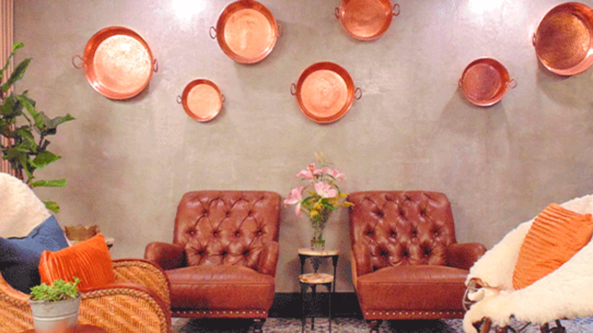 Hotel Coyotito Beds Coyoacán