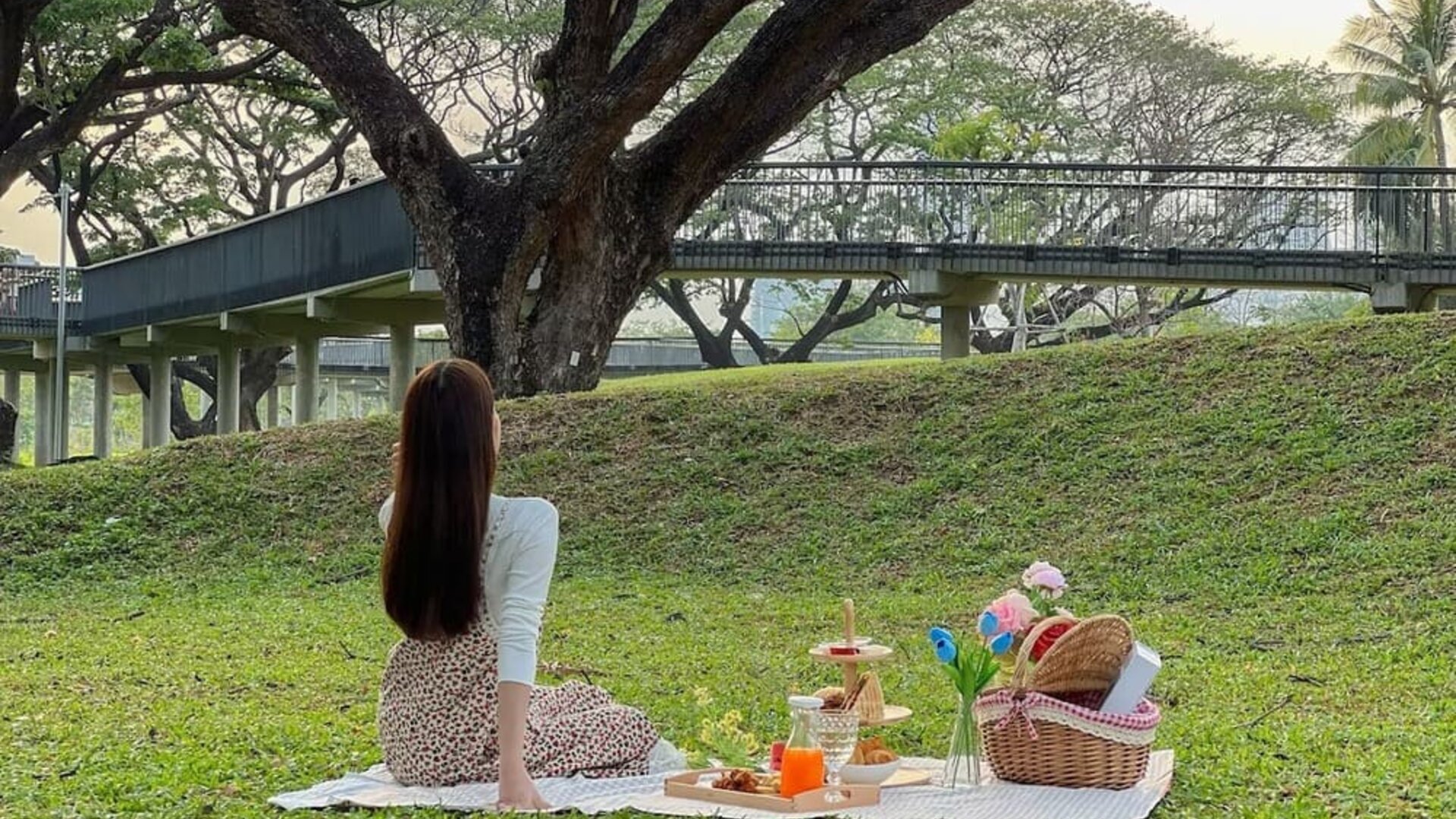 Picnic and garden area at Modena By Fraser Bangkok.