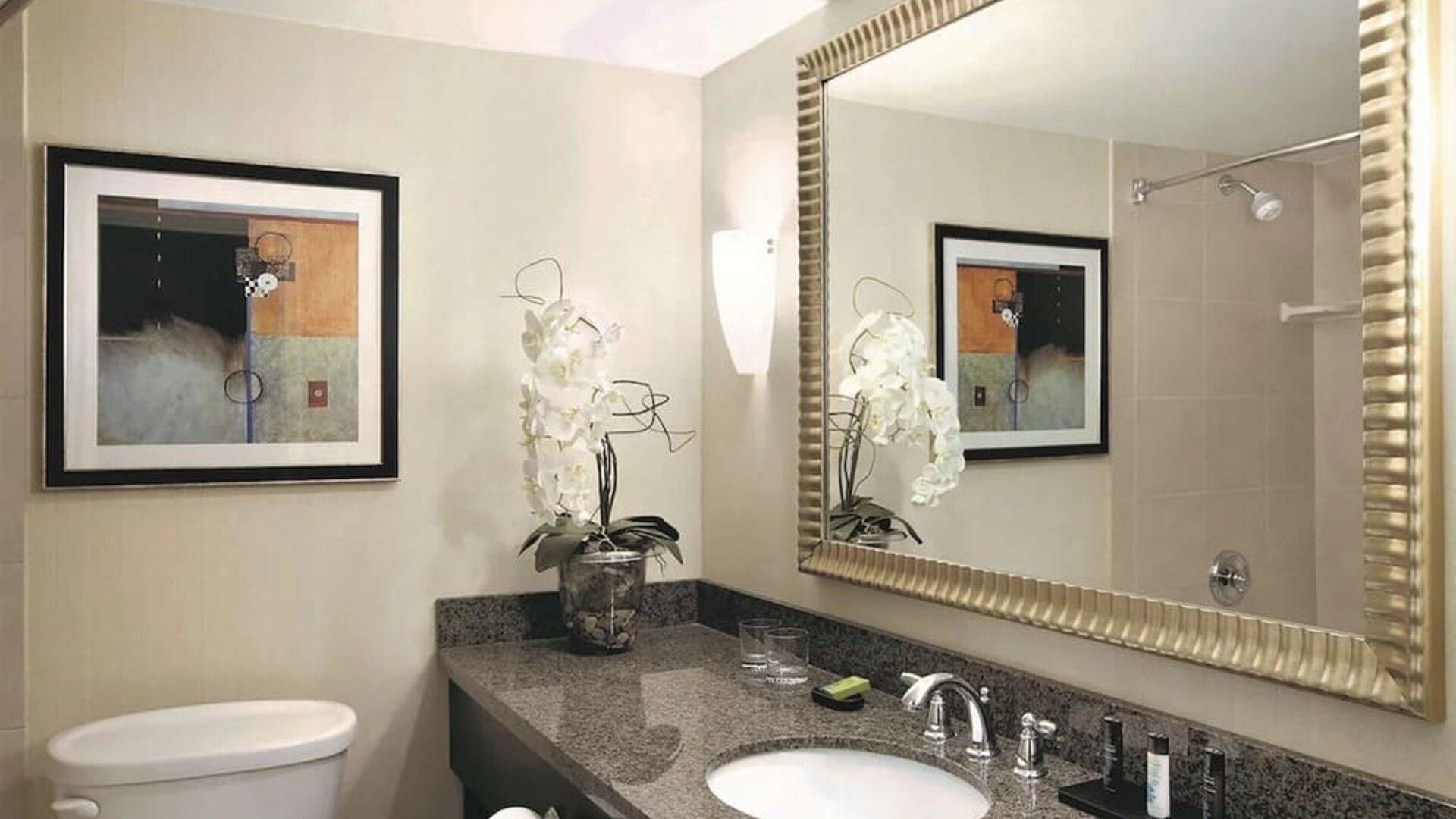 Guest bathroom at Embassy Suites By Hilton Denver Tech Center.