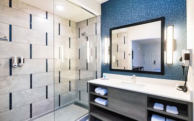 Private bathroom at Palace Inn Blue Laura Koppe Rd.