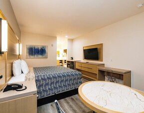 Day use room with TV and work desk at Palace Inn Blue IAH East.