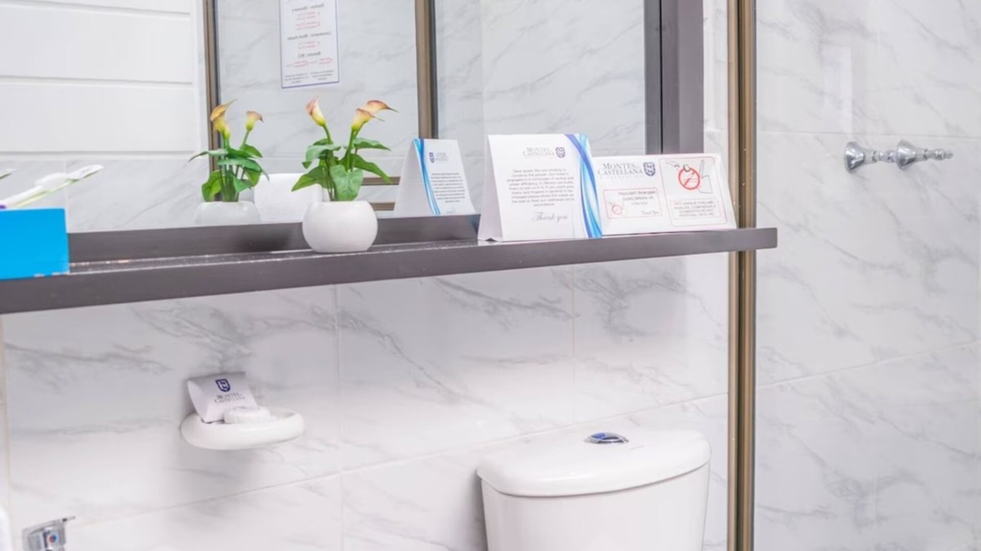 Guest bathroom with shower at Montes De La Castellana Hotel.