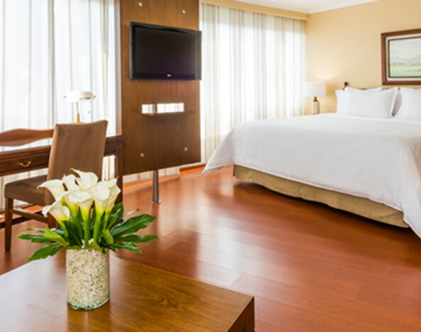 Cosmos 100 & Centro De Convenciones