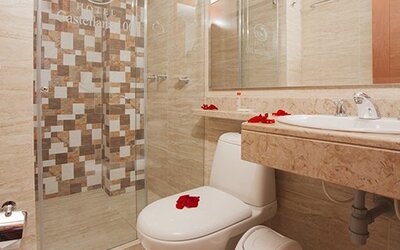 Hotel Castellana 100