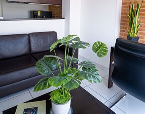 ICON 48 Luxury Apartasuites