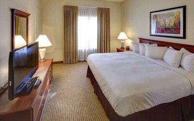 Day use room with natural light at Homewood Suites By Hilton Newark-Cranford.