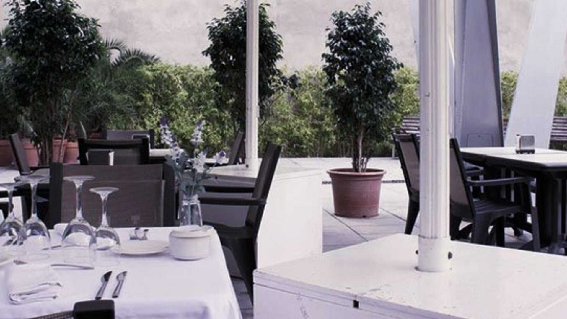 Hotel Evenia Rosselló