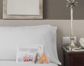 Hotel Mesón Castilla Atiram