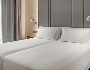 NH Madrid Paseo De La Habana