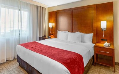 Romantic king room with natural light at Comfort Suites Oakbrook Terrace.