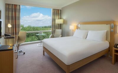 Bright king bedroom with view at the Hilton Reading.