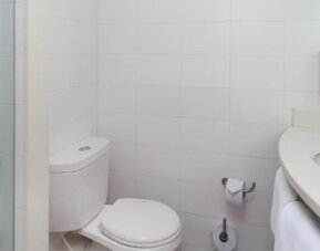Ibis Medellín