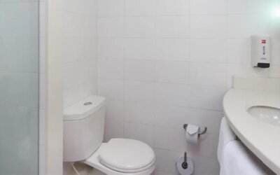 Ibis Medellín