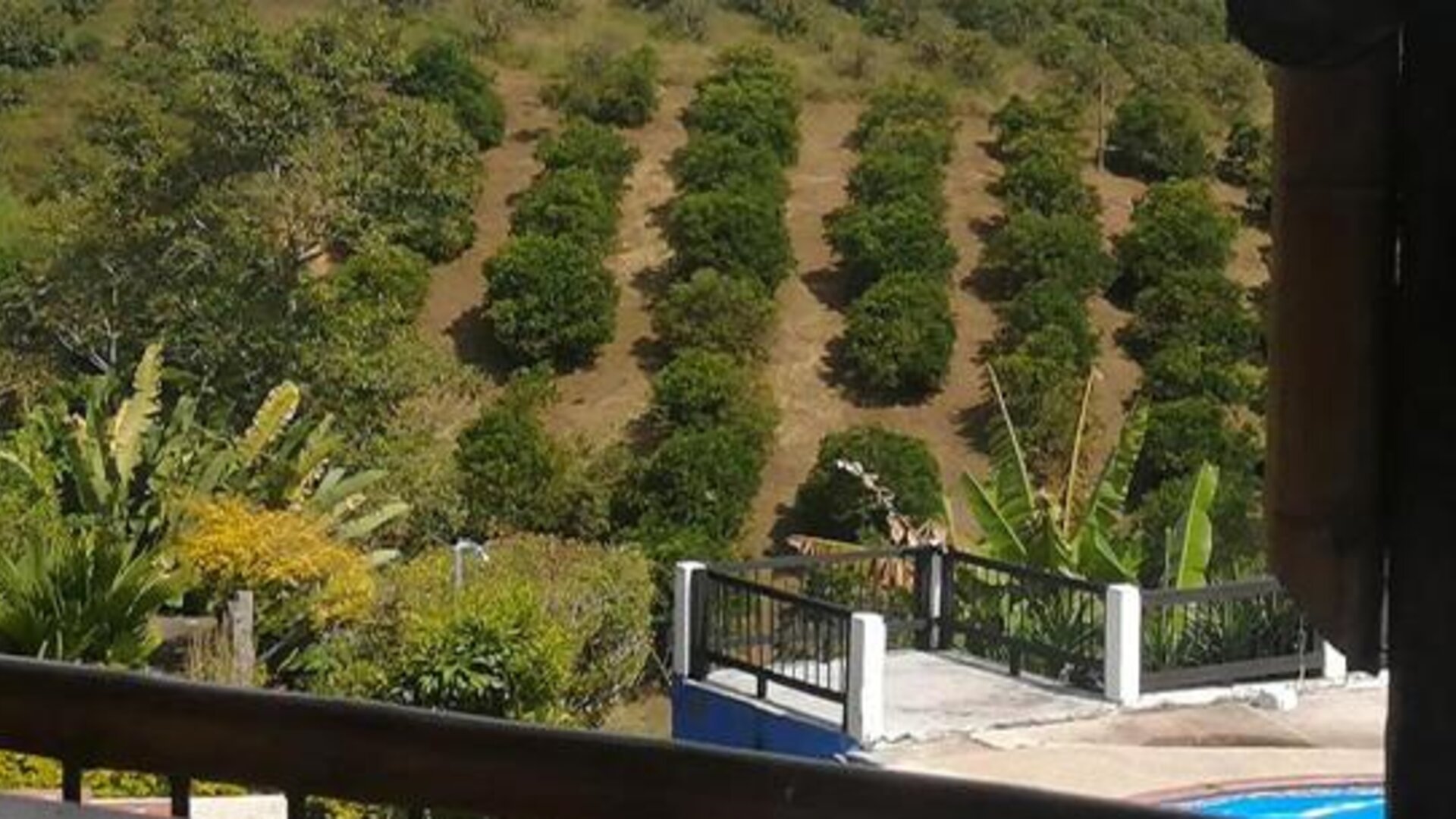 Ecohotel Palmas de Quimbaya Eje Cafetero