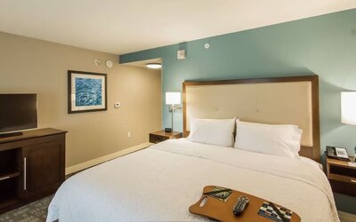King guest room with plush bedding, flat-screen television, and modern furnishings at Hampton Inn & Suites Orlando at SeaWorld.