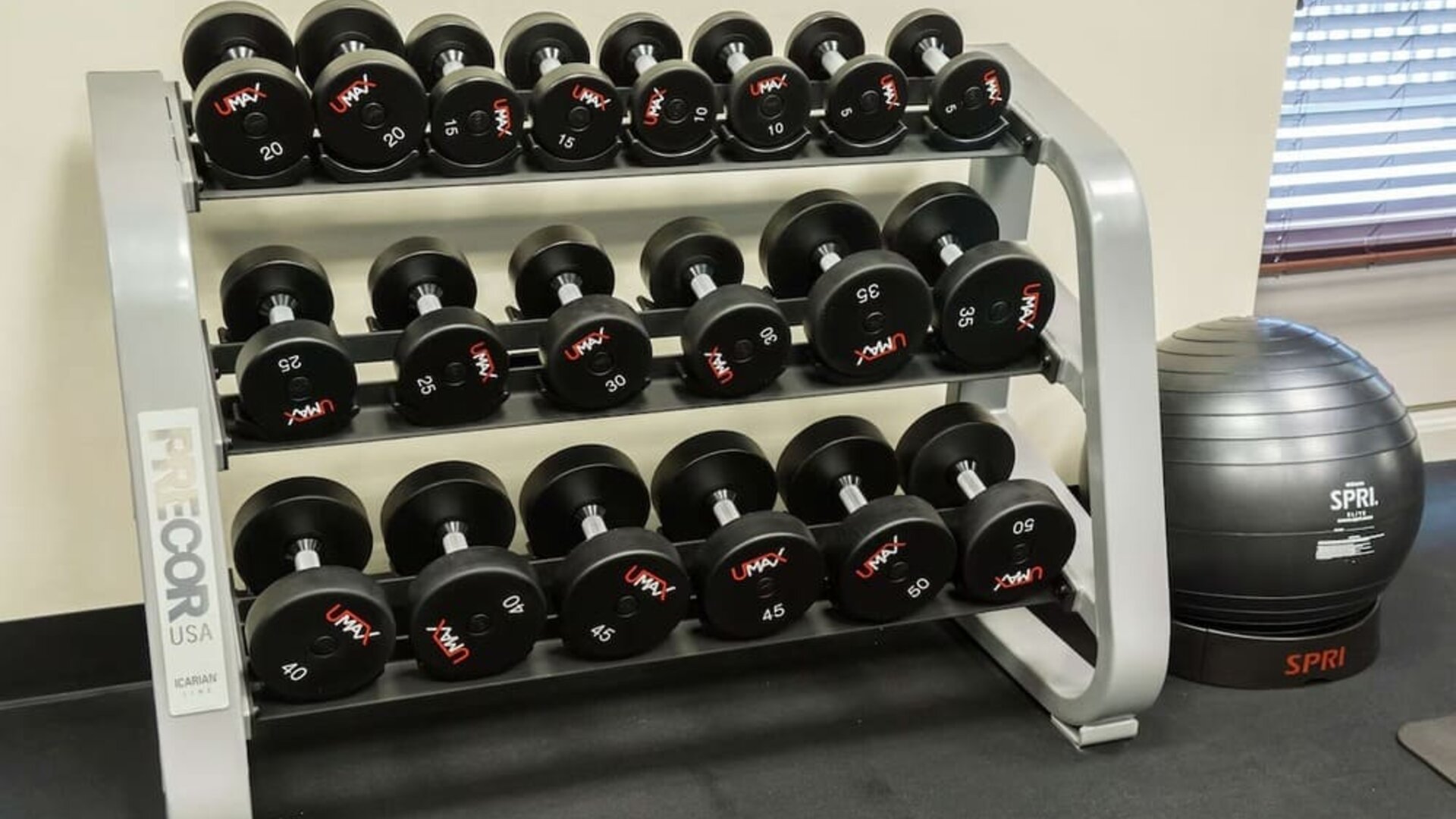 Dumbbell rack with free weights and exercise ball in the fitness center at Hampton Inn & Suites Orlando at SeaWorld.