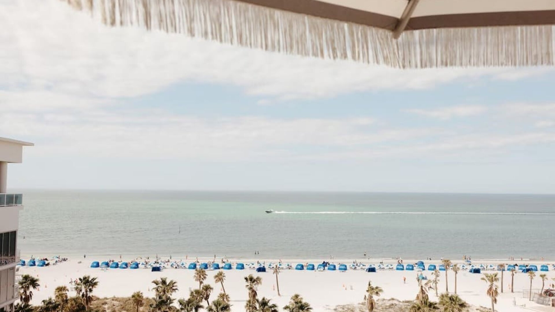 Elevated beach view with rows of blue umbrellas, palm-lined shoreline, and calm ocean stretching to the horizon.