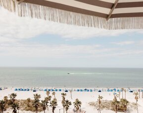 Elevated beach view with rows of blue umbrellas, palm-lined shoreline, and calm ocean stretching to the horizon.