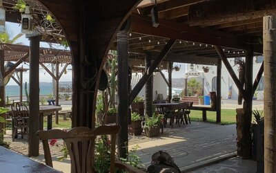 Open-air covered patio with rustic wooden seating and garden views at Casa Playa Baja Resort.