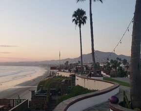 Scenic beachfront walkway lined with palm trees and panoramic coastline views at Casa Playa Baja Resort.
