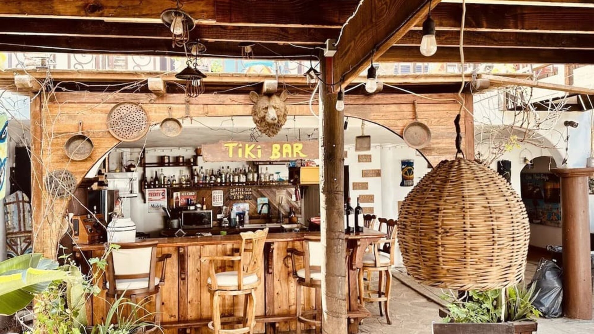 Rustic open-air tiki bar with handcrafted wood finishes, seating, and tropical atmosphere at Casa Playa Baja Resort.