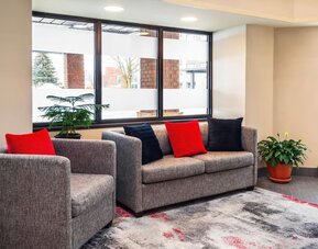 Comfortable lobby seating area with modern furnishings and a welcoming atmosphere at Comfort Inn Amherst.