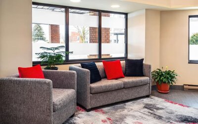 Comfortable lobby seating area with modern furnishings and a welcoming atmosphere at Comfort Inn Amherst.