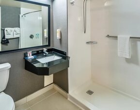 Accessible guest bathroom featuring a roll-in shower, modern vanity, and safety grab bars at Comfort Inn Sudbury East.