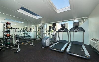 Fitness center featuring treadmills, strength equipment, and free weights at Holiday Inn Express Edmonton Downtown, an IHG Hotel.