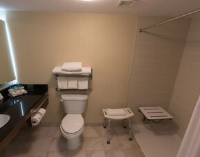 Accessible guest bathroom with roll-in shower, shower seat, and safety features at Holiday Inn Express Edmonton Downtown, an IHG Hotel.
