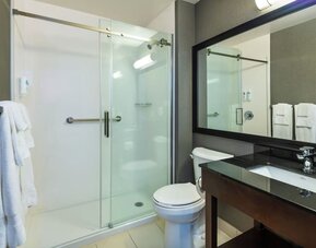 Guest bathroom with a walk-in shower and vanity at Comfort Inn Sault Ste. Marie.