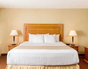 Guest room with a king bed and bedside tables at Days Inn Edmonton Downtown.