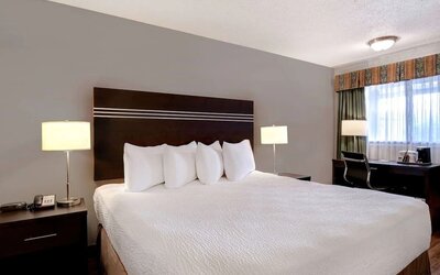 Guest room with a king bed and work desk at Days Inn Vernon.