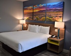 Guest room at Days Inn & Suites By Wyndham Downtown/University Of Houston featuring a king bed, bedside lighting and colorful landscape artwork.