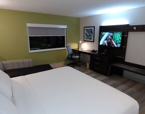 Guest room featuring a king bed, a comfortable seating area, a dedicated workspace, and modern amenities at Holiday Inn Express Rolling Meadows-Schaumburg.