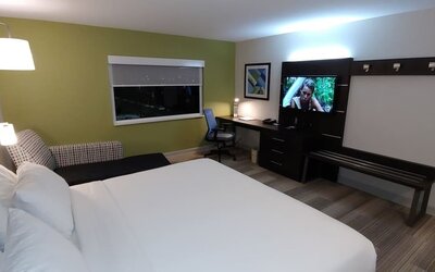 Guest room featuring a king bed, a comfortable seating area, a dedicated workspace, and modern amenities at Holiday Inn Express Rolling Meadows-Schaumburg.