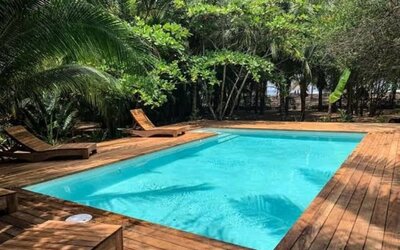 Rectangular turquoise outdoor swimming pool surrounded by a wooden deck, sun loungers, dense tropical greenery, and tall palm trees providing natural shade.