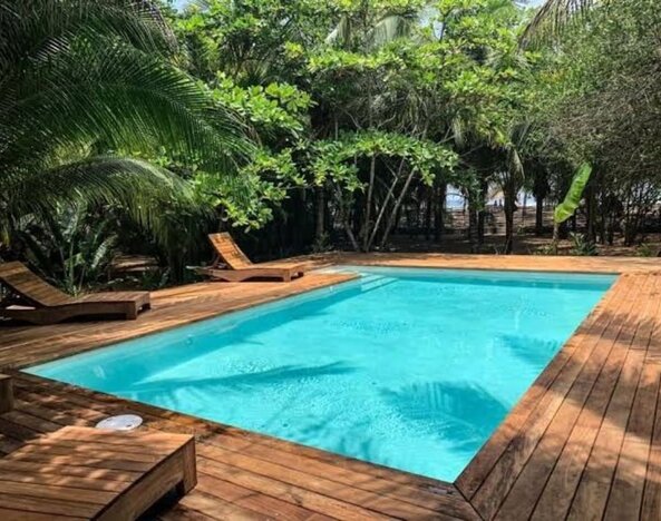 Rectangular turquoise outdoor swimming pool surrounded by a wooden deck, sun loungers, dense tropical greenery, and tall palm trees providing natural shade.