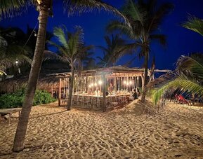 Illuminated open-air beach bar surrounded by tall palm trees and sandy grounds at night, creating a relaxed tropical atmosphere near the ocean.