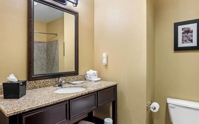 Bathroom vanity with a granite countertop, framed mirror, and separate shower area at Comfort Suites Frisco.