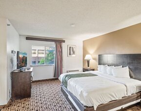 Bright king guest room featuring a king bed, large window providing natural light, flat-screen television, and bedside lighting at Coratel Plus Suites Wichita West Airport.