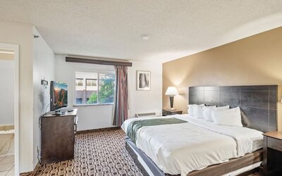 Bright king guest room featuring a king bed, large window providing natural light, flat-screen television, and bedside lighting at Coratel Plus Suites Wichita West Airport.