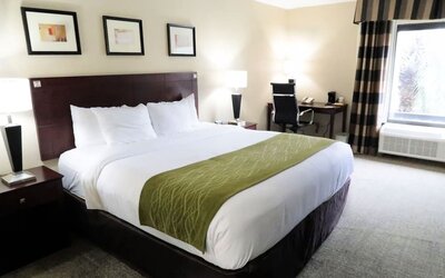 Bright king guest room featuring a king bed, work desk, chair, bedside lighting, and large window providing natural light at Comfort Inn Southwest At Westpark.