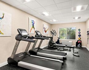 Fitness centre with treadmills, elliptical equipment, exercise bench, and medicine balls at Best Western Ontario Mills Mall.