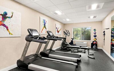 Fitness centre with treadmills, elliptical equipment, exercise bench, and medicine balls at Best Western Ontario Mills Mall.