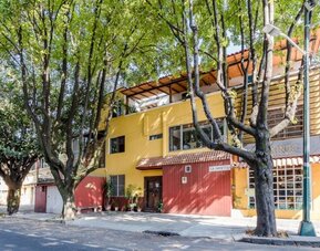 Colourful street-facing exterior surrounded by mature trees at Casa Anzures Suites.