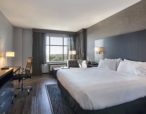Bright king guest room featuring a comfortable bed, workspace, seating area, and ample natural light at Holiday Inn & Suites Silicon Valley - Milpitas.
